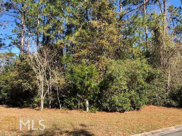 1029 Greenwillow Dr - Photo 1
