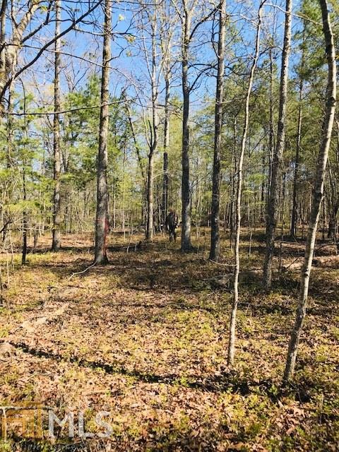 0 Palmer Rd - Photo 1