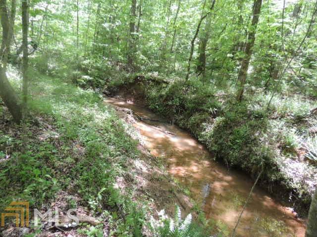 0 Brown Creek Rd - Photo 1