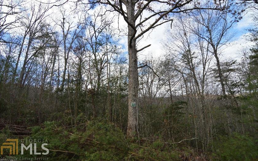 0 Laurel Brooke - Photo 1