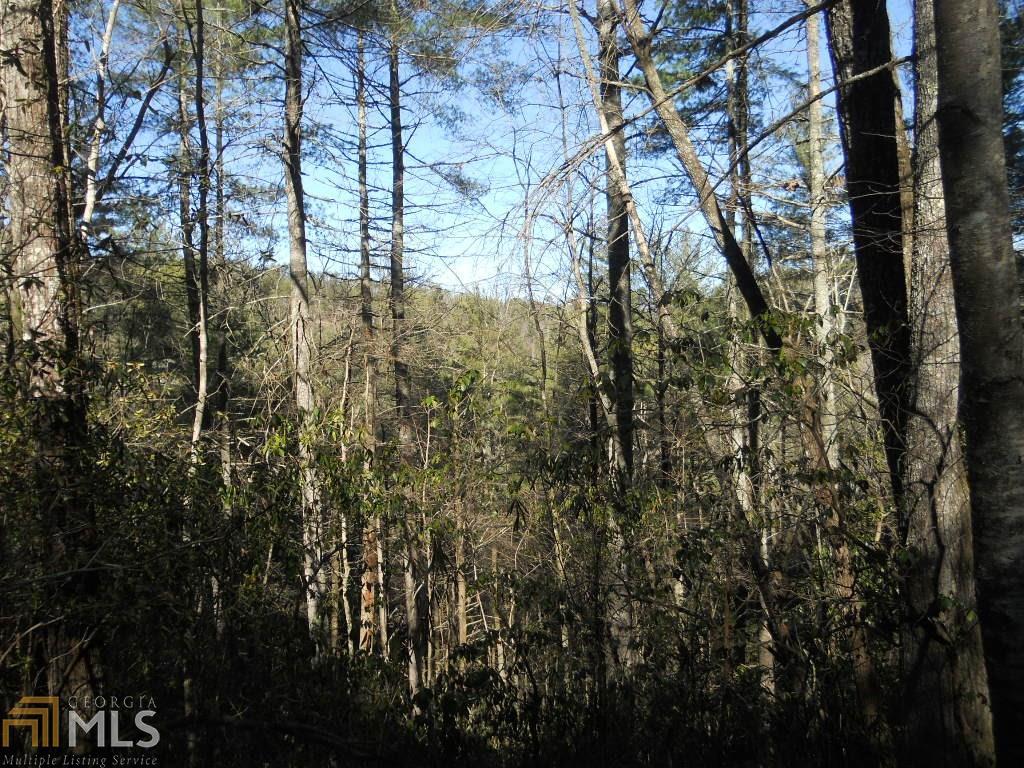 0 Hidden Falls Dr - Photo 1