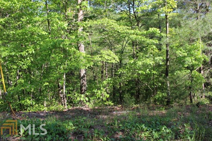 0 Long Branch Rd - Photo 1