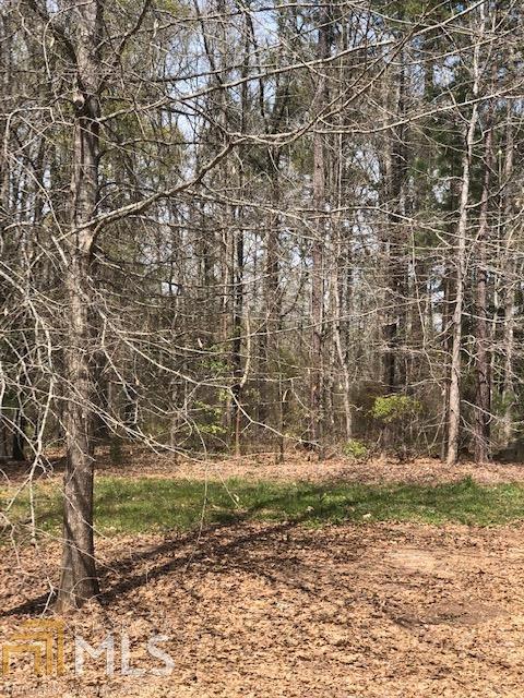 0 White Oak Rd - Photo 1