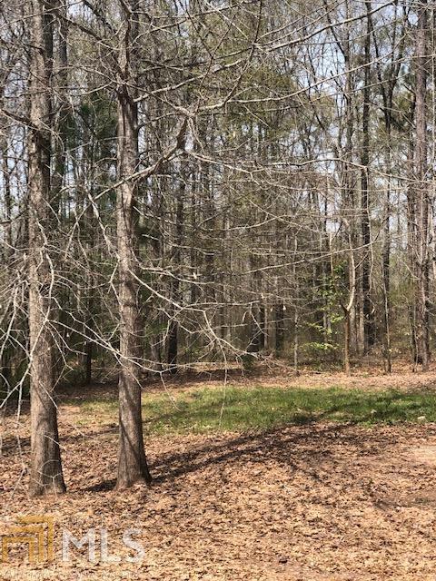 0 White Oak Rd - Photo 1