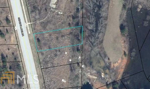 1022 Serene Lake Dr - Photo 1