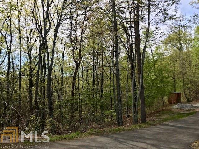 0 Ranch Mountain Dr - Photo 1