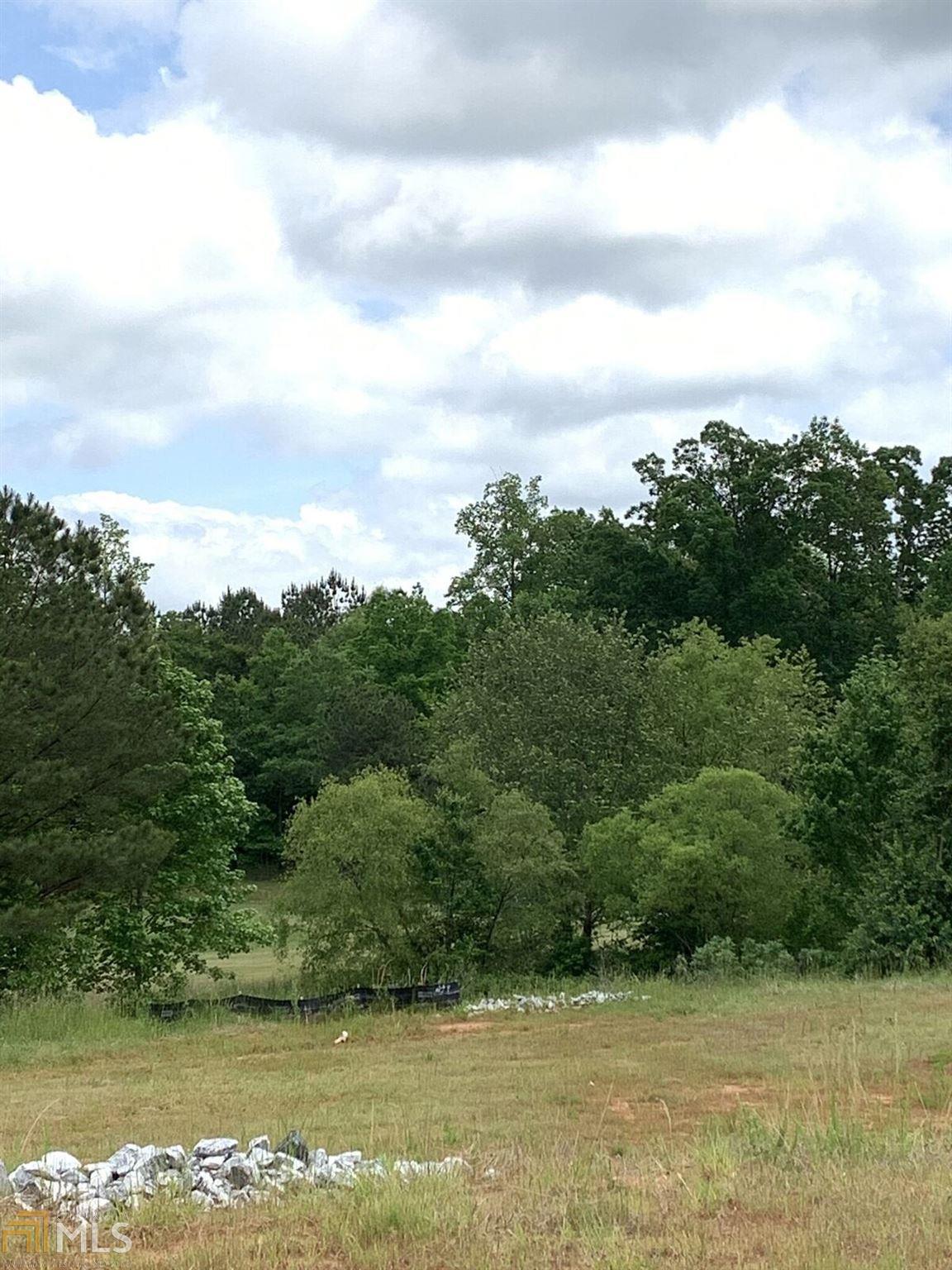 910 Indigo Bunting Rd - Photo 1