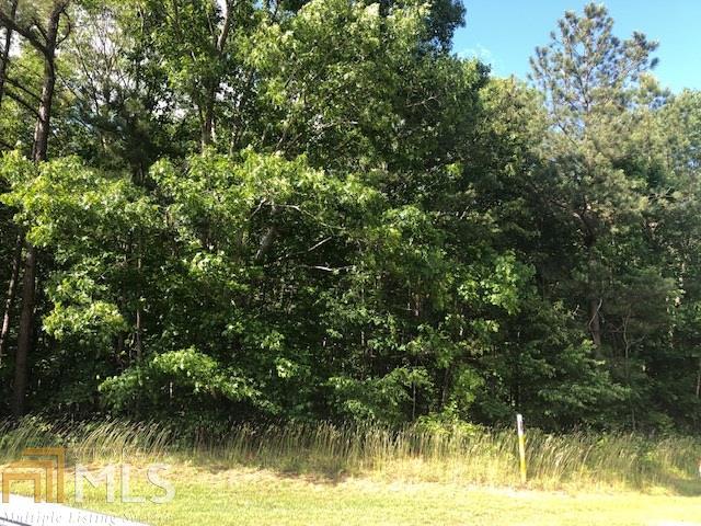 0 Old Jacksonville Rd - Photo 1