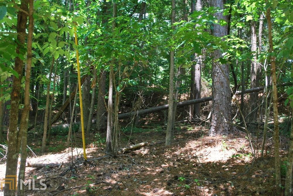 LOT 17 Crestview Drive - Photo 1