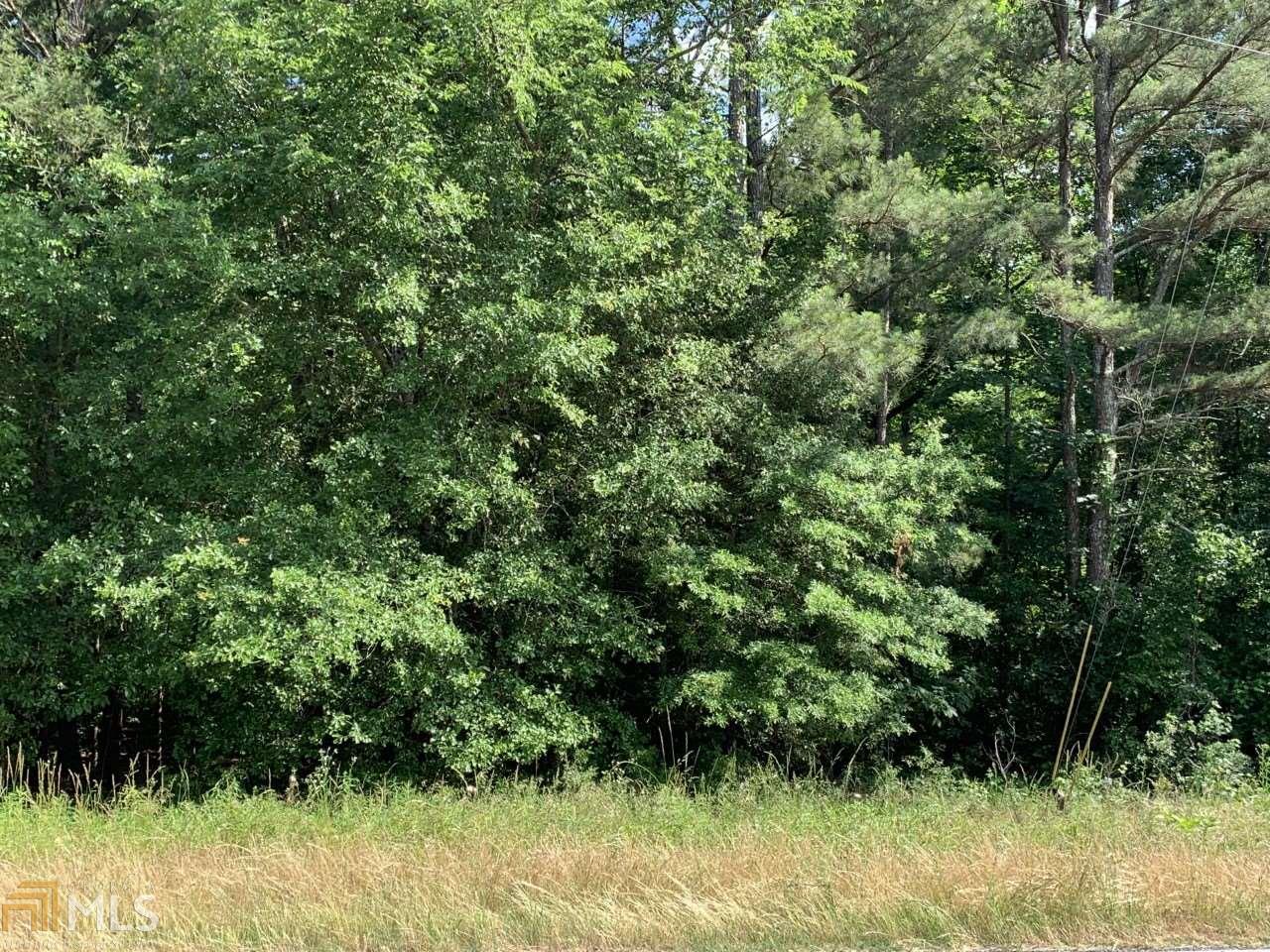 4240 Lower Jersey Rd - Photo 1