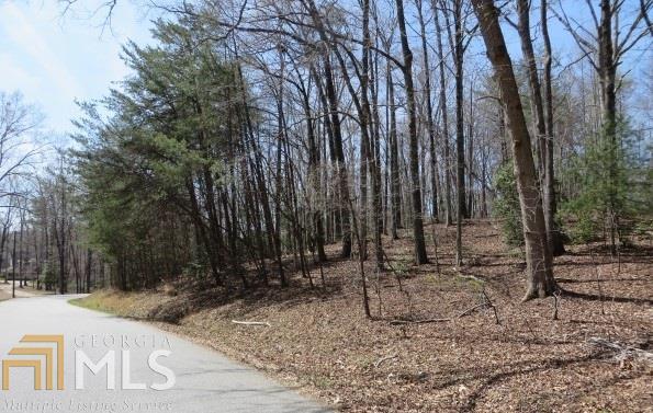 0 Echota Rd - Photo 1