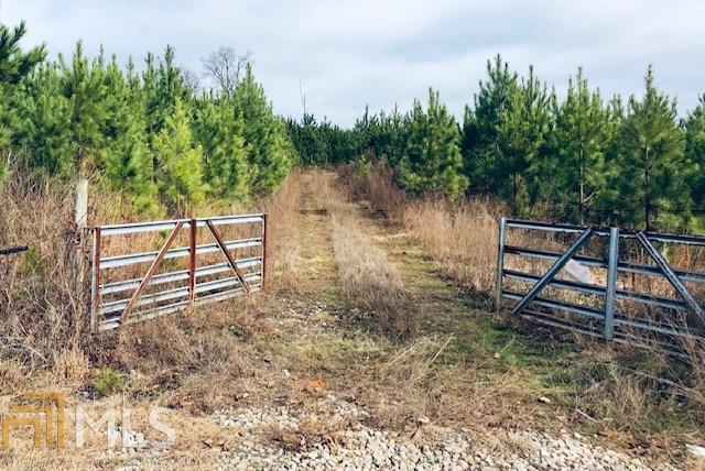 5455 Frolona Rd - Photo 1
