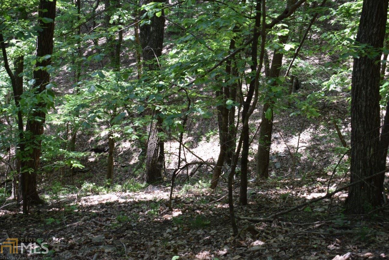 4522 Sassafras Mountain Trl - Photo 1