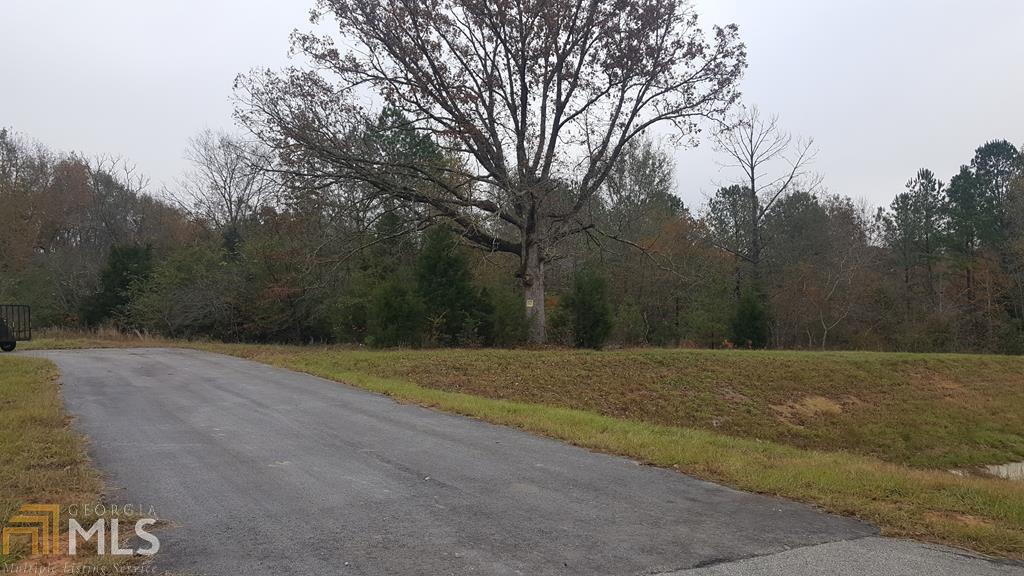 776 Highway 24 Fall Line Freeway - Photo 1