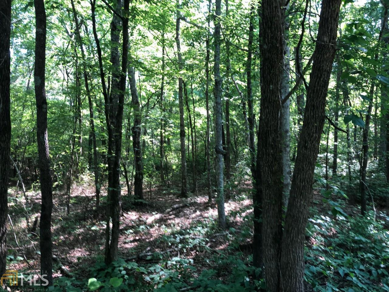 0 Shinall Gaines Rd - Photo 1