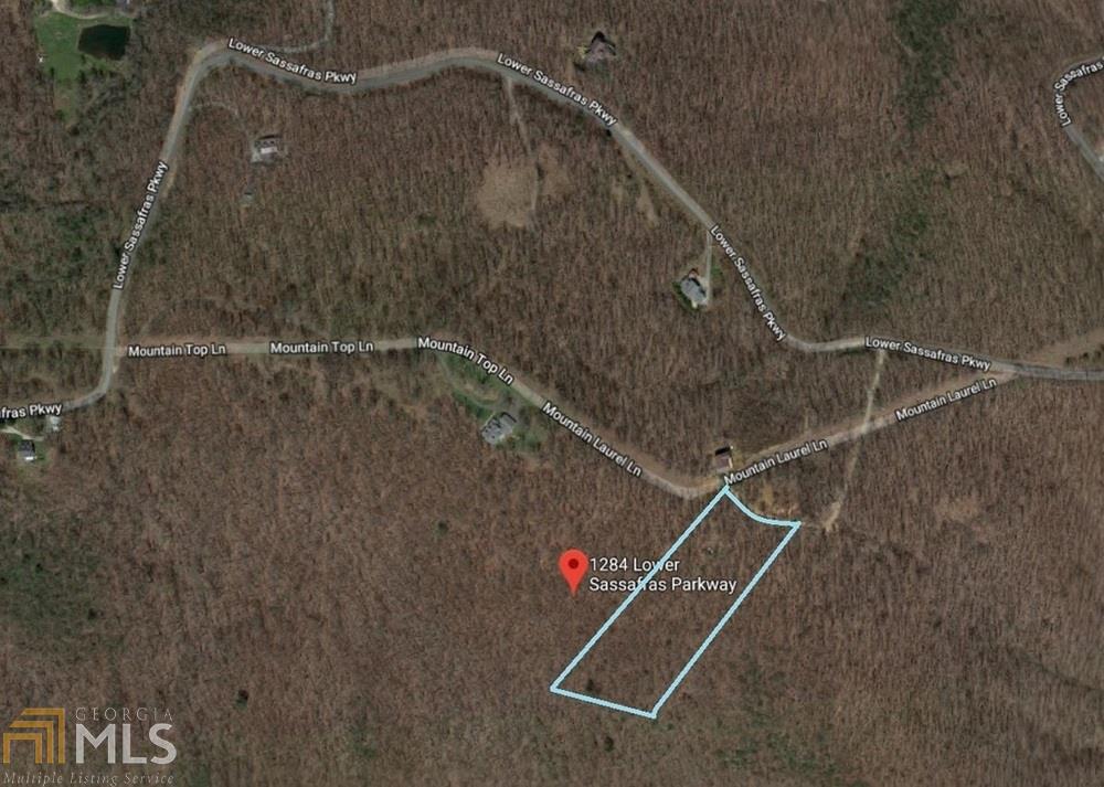 0 Lower Sassafras Pkwy - Photo 1