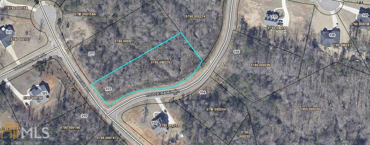 203 Lakeside Dr - Photo 1