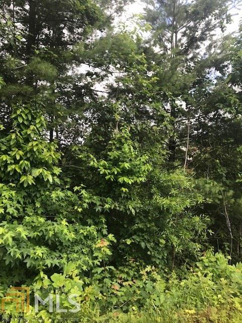 0 Porter Springs Rd - Photo 1