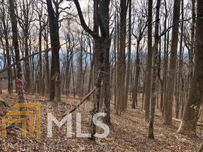 0 Big Stump Mountain Trl - Photo 1