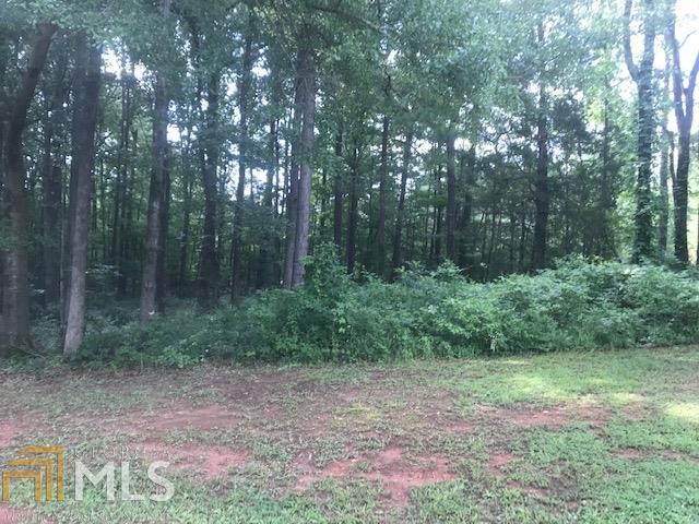 0 Chapel Springs - Photo 1