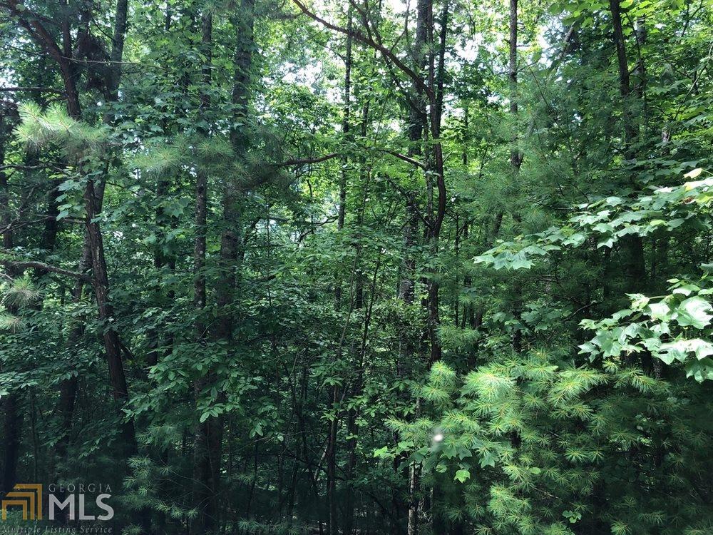 0 Grove Lane - Photo 1