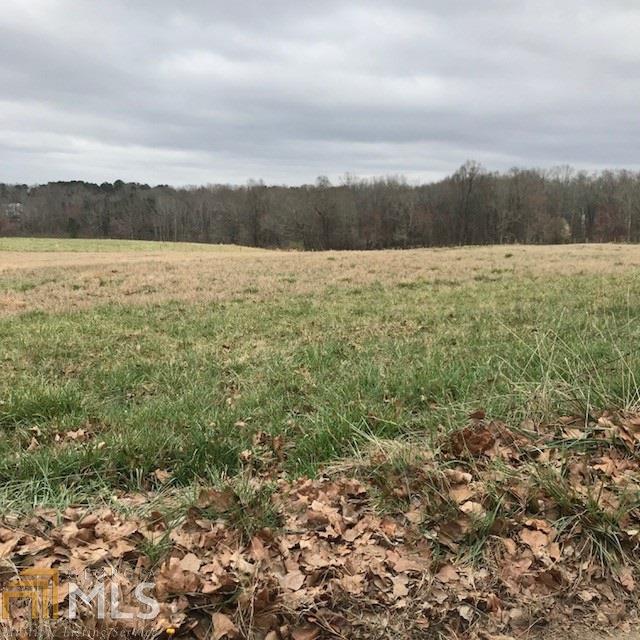 2954 Freemans Mill Rd - Photo 1