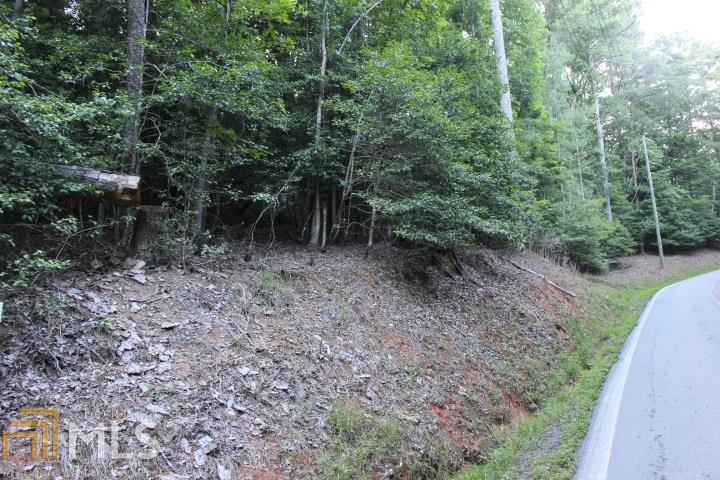 0 Lemmon Ln - Photo 1
