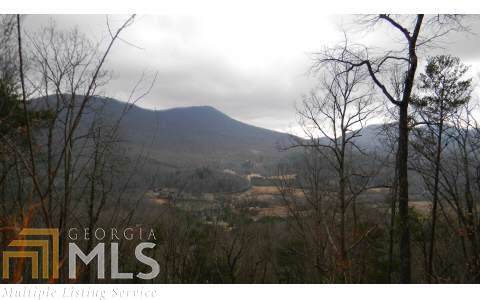 0 Bald Eagle Dr - Photo 1