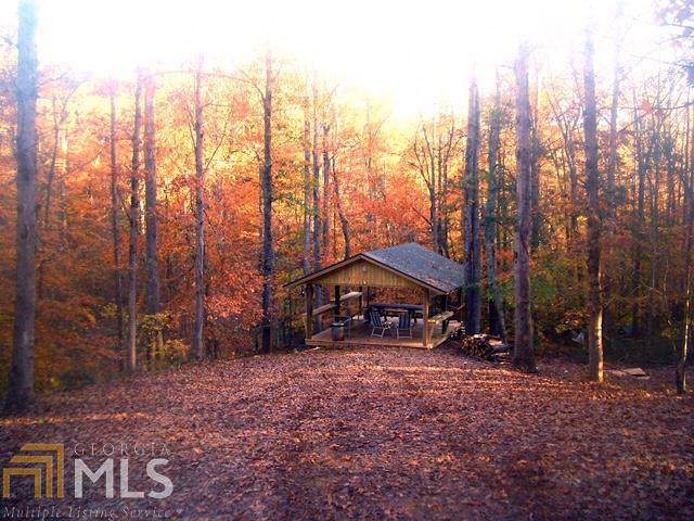 3046 Davids Home Church Rd - Photo 1