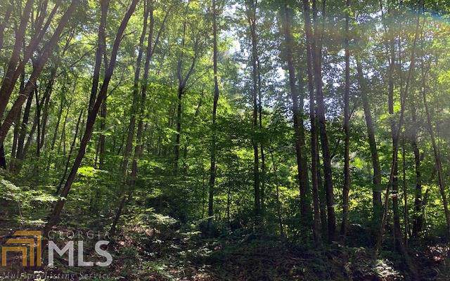 0 Shepherd Dr - Photo 1