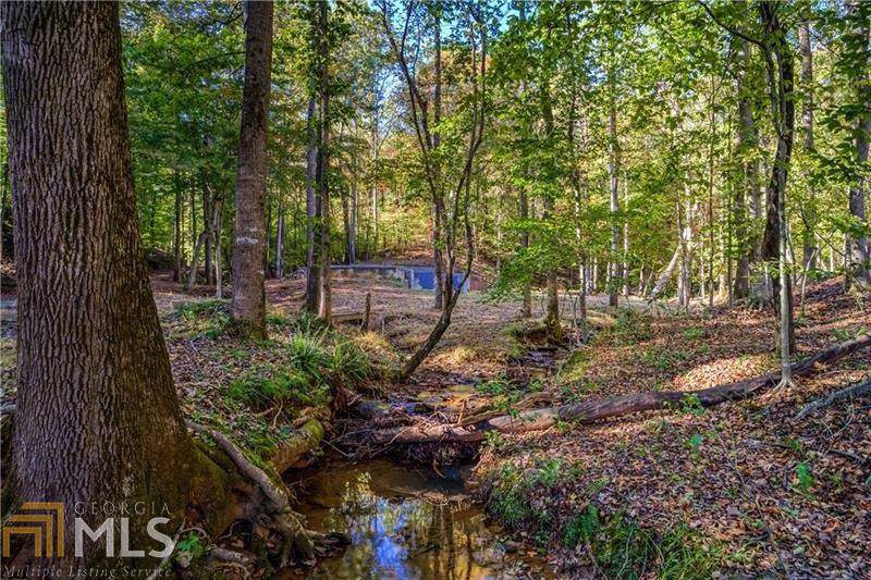 3680 Twin Branches Rd - Photo 1