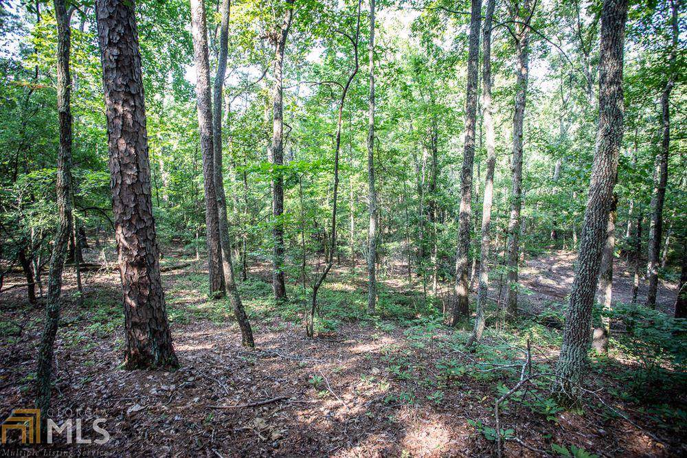 000 Euharlee Rd - Photo 1