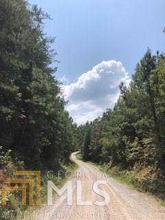 0 Styles Lake Rd - Photo 1
