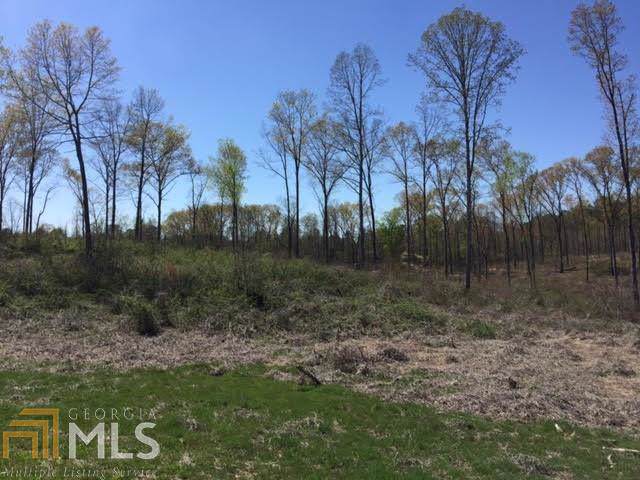 0 Pleasant Valley Rd - Photo 1