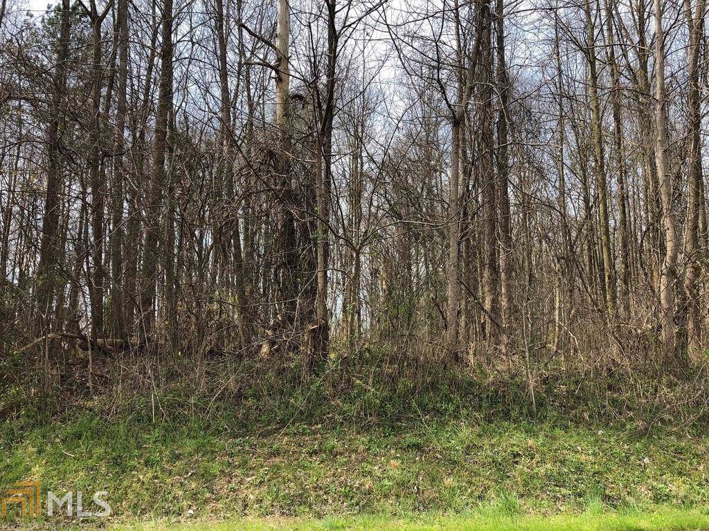 1068 Jefferson River Rd - Photo 1