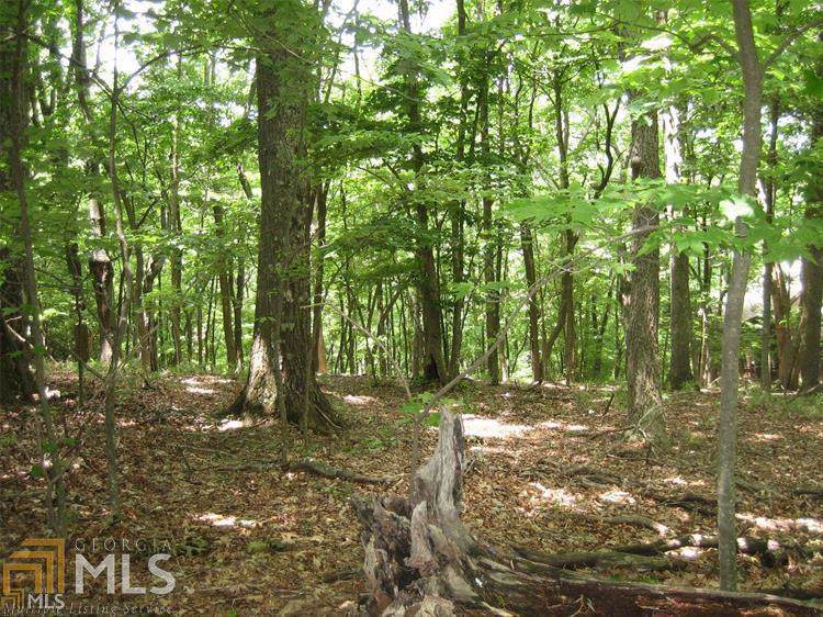 315 Windflower Dr - Photo 1