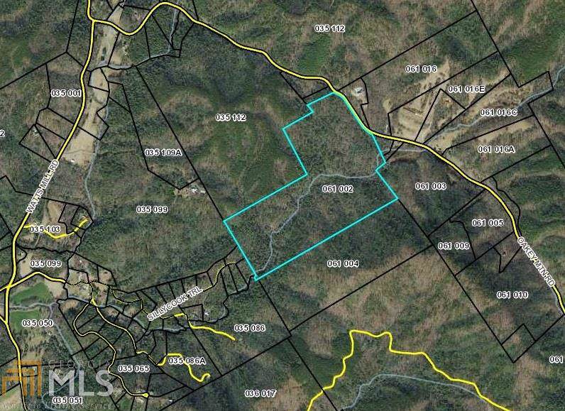 0 New Liberty Rd/Raper Mtn - Photo 1