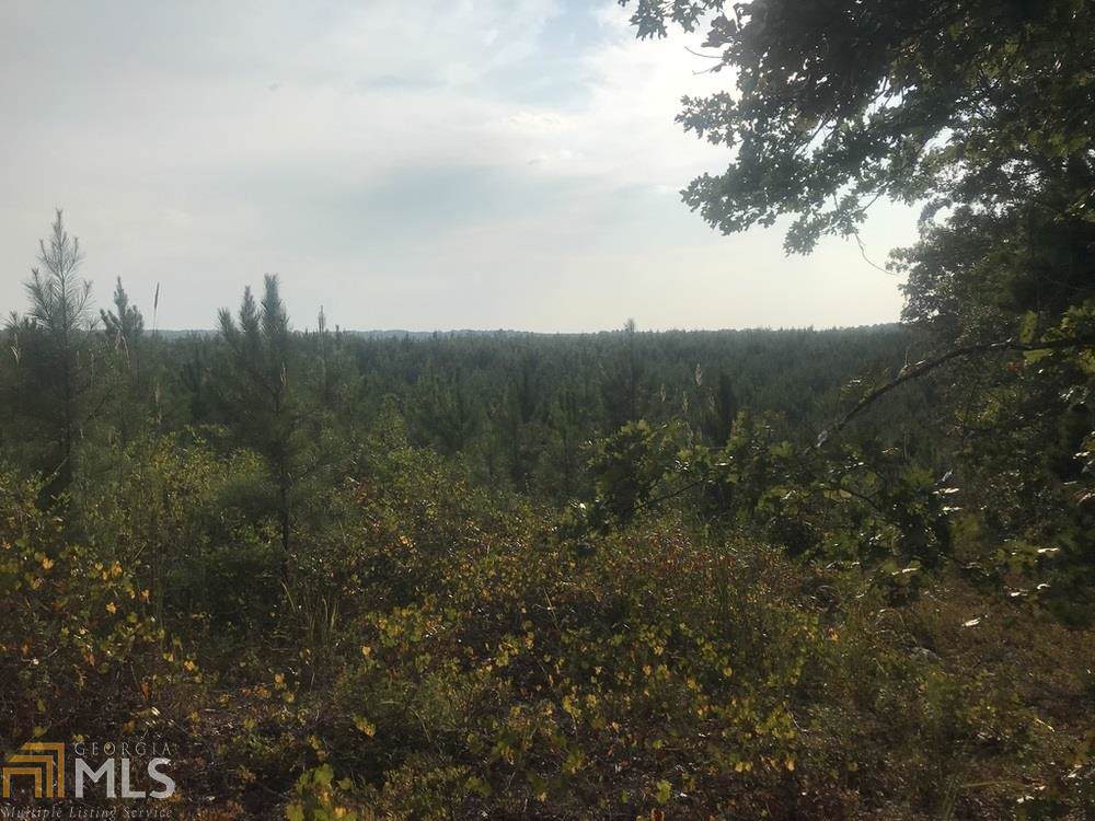0 Hutcheson Rd - Photo 1