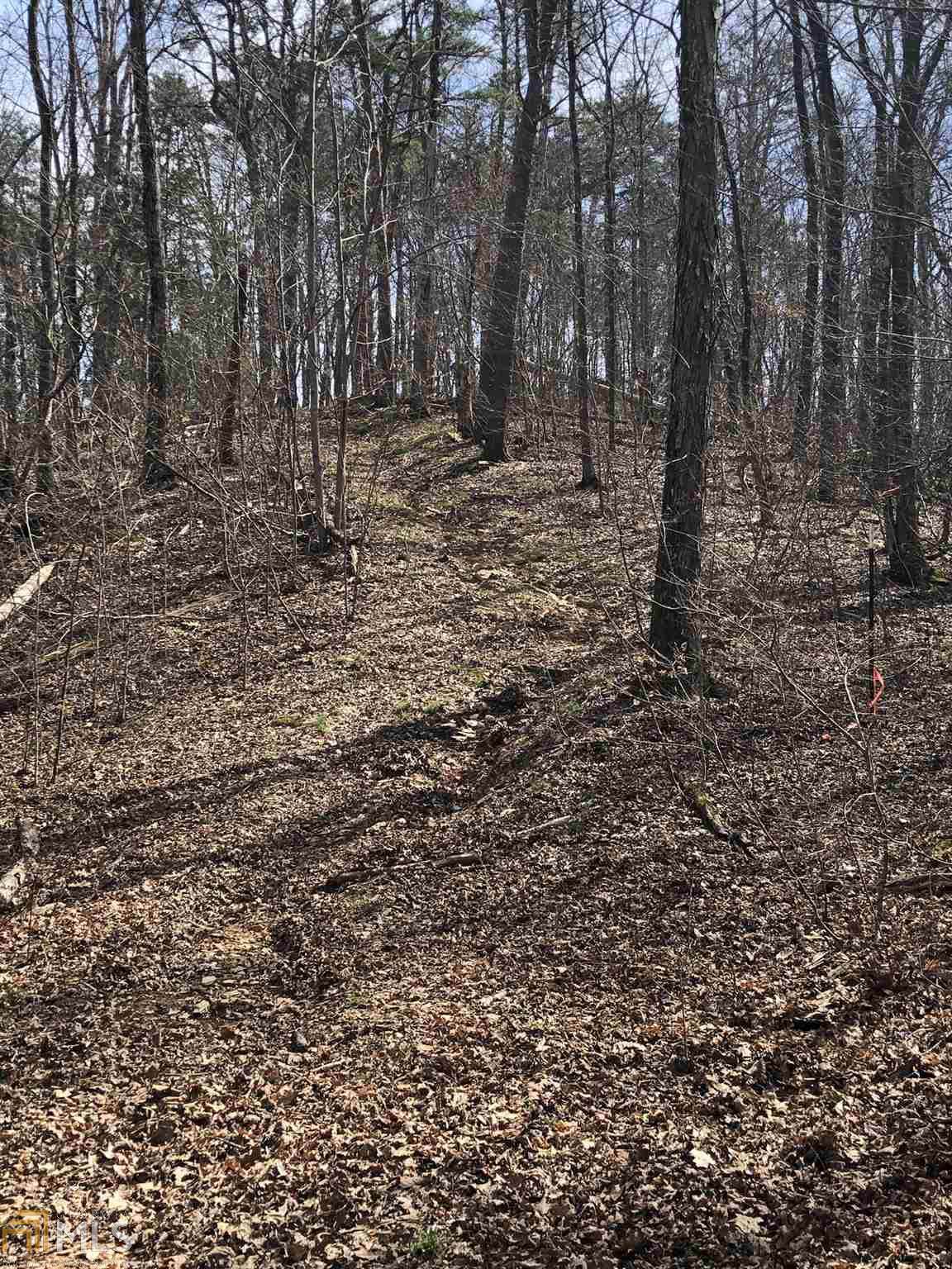 623 Liberty Church Rd - Photo 1