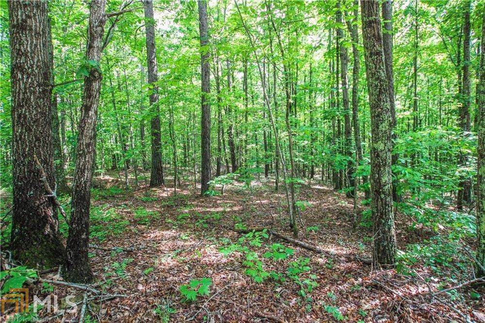 4041 Miller Bottom Rd - Photo 1
