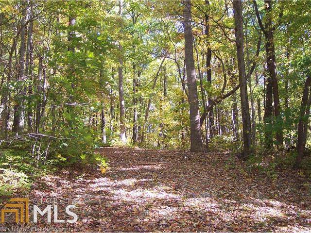 Lot 53 Heatherstone Way - Photo 1