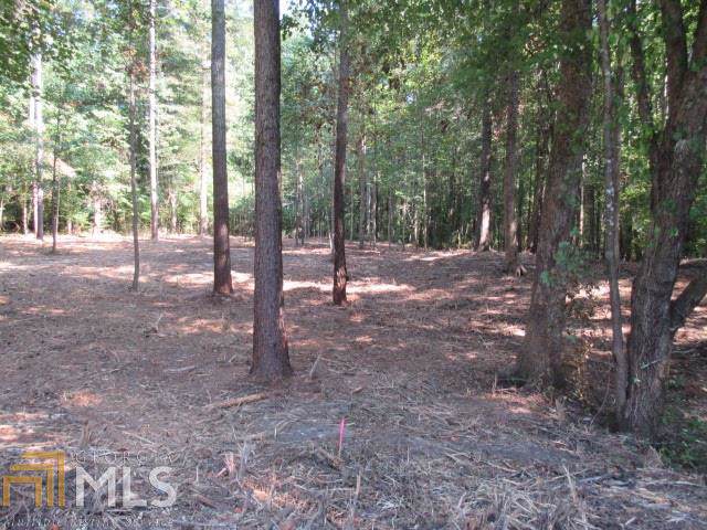 114 Tulip Way - Photo 1