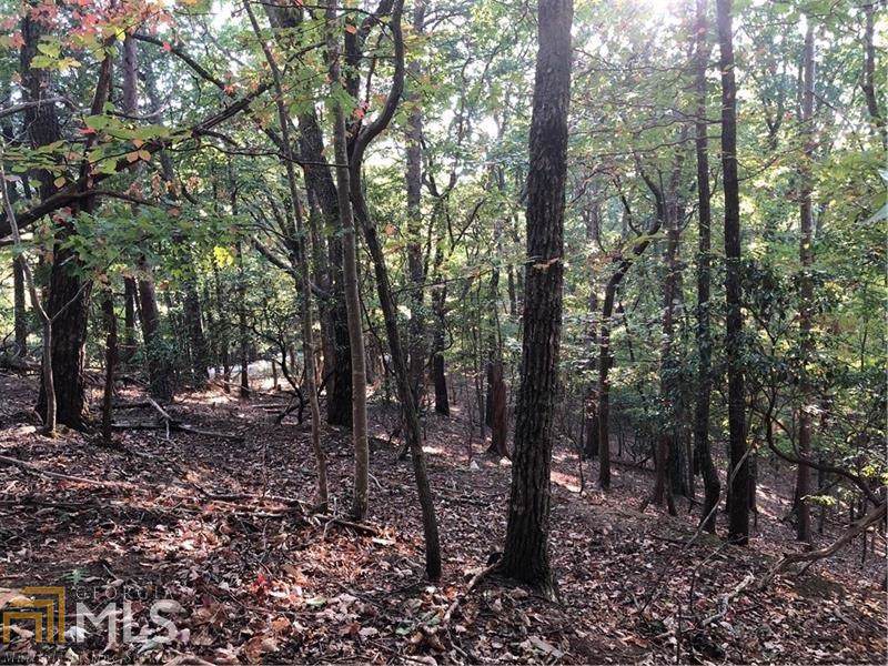 0 Fairway Ct - Photo 1