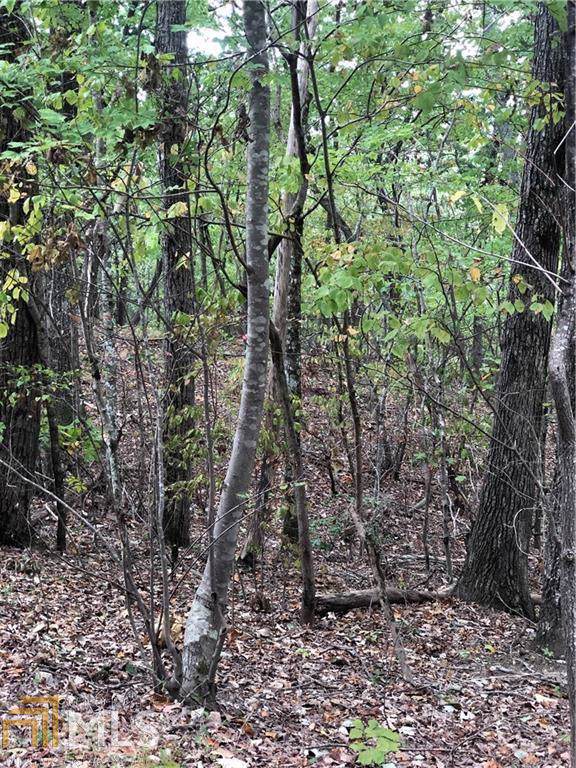 0 Laurel View Dr - Photo 1