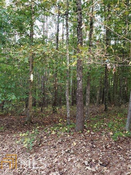 0 Pinyan Ln - Photo 1