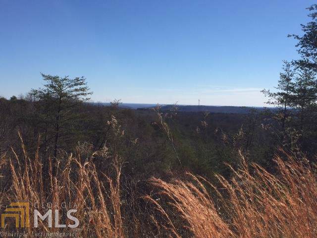 0 Myrtle Pl - Photo 1