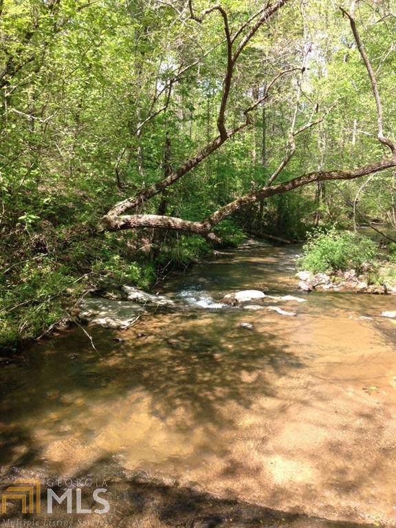 0 Rat Kinney Rd - Photo 1