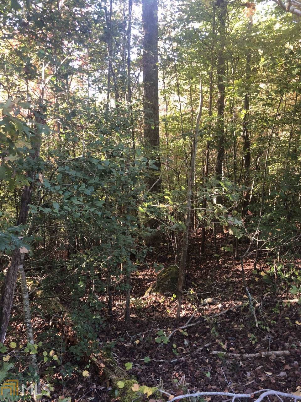46 Deer Acres Dr - Photo 1