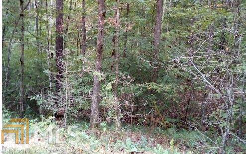 0 Lemmon Ln - Photo 1
