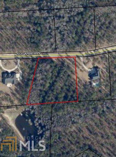 0 Sugarberry Ct - Photo 1